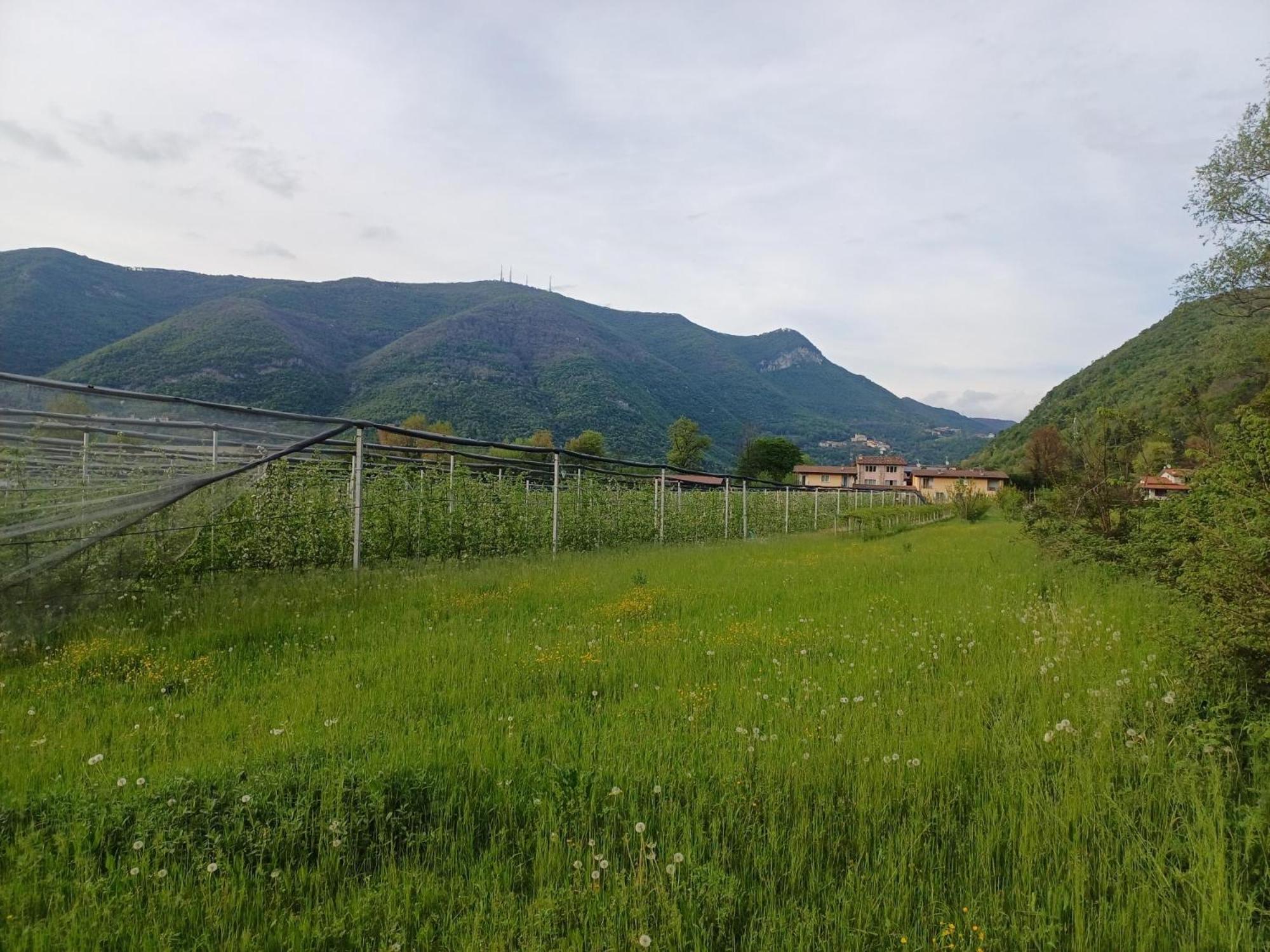 Apartament Cascina Legnago Trilocale A 6 Chilometri Da Salo' Villanuova sul clisi Zewnętrze zdjęcie